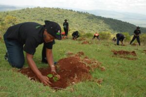 Lobbies unite to prevent land grabbing in Oloolua Forest
