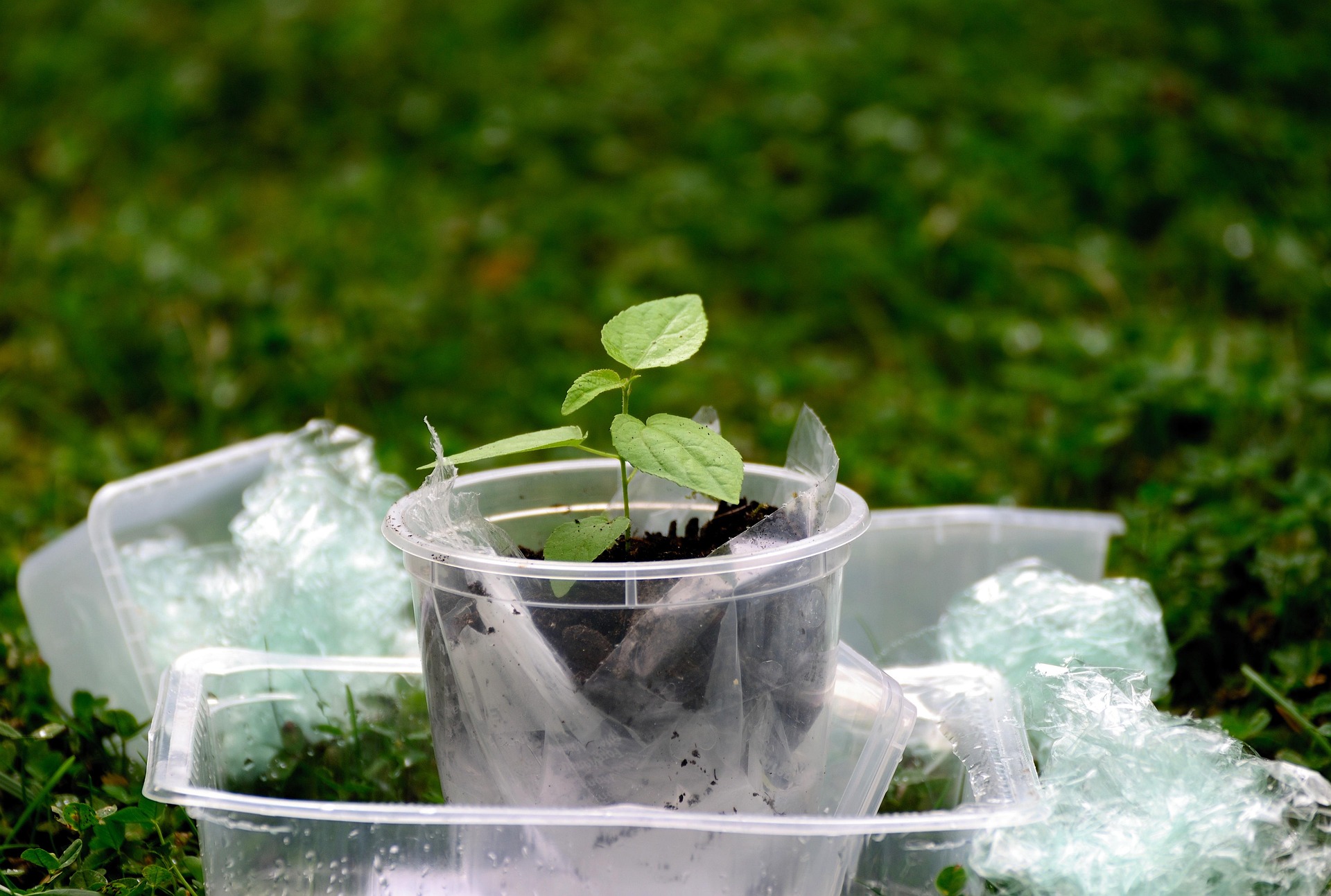 We need a new breed of environmental organisations in Kenya