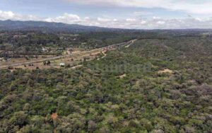 Friends of Oloolua Forest win round one in war with radioactive waste facility