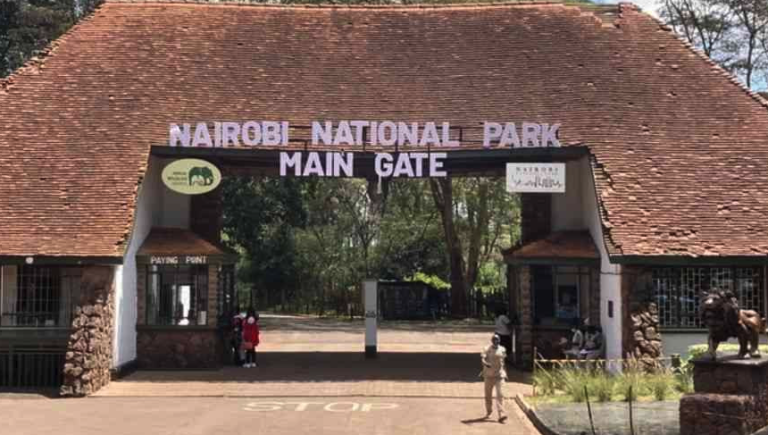 Kenyans move to court to stop development in Nairobi National Park.