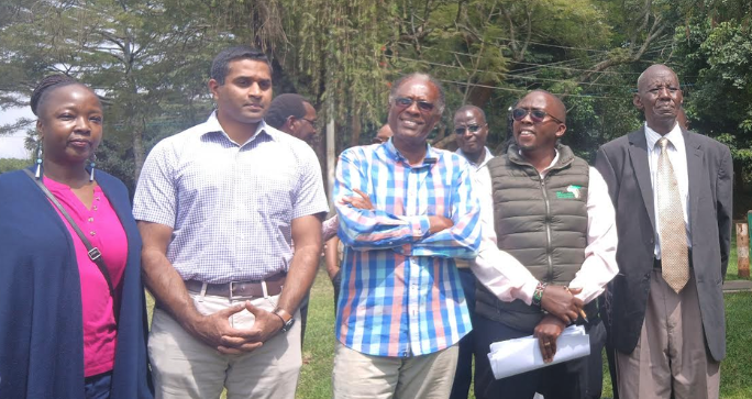 Conservationists call for protection of existing forests