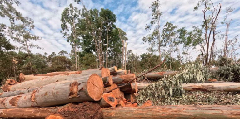 Activists oppose proposed amendment to conservation law