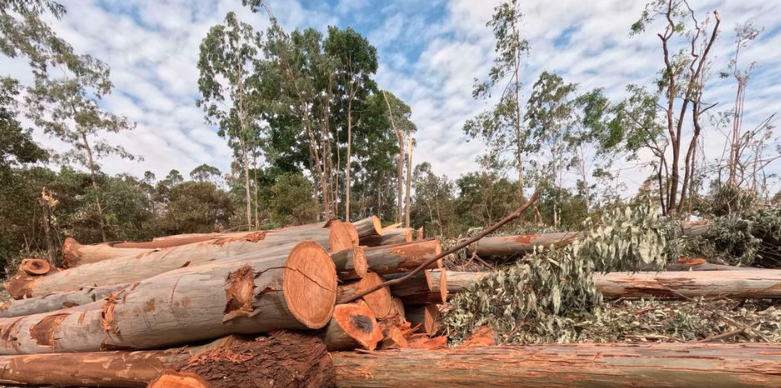 Activists oppose proposed amendment to conservation law