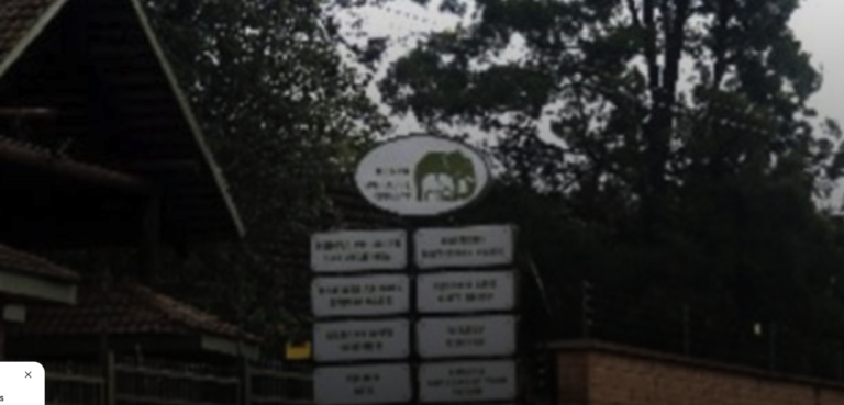 KWS to hive off 76 acres Nairobi park land for Bomas project, animal orphanage relocation